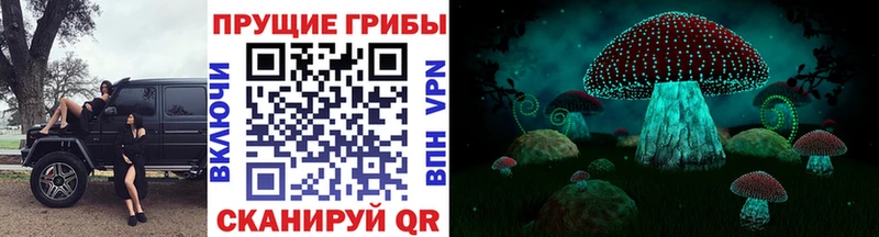 дарнет шоп  дарк нет официальный сайт  Галлюциногенные грибы MAGIC MUSHROOMS  Тара 